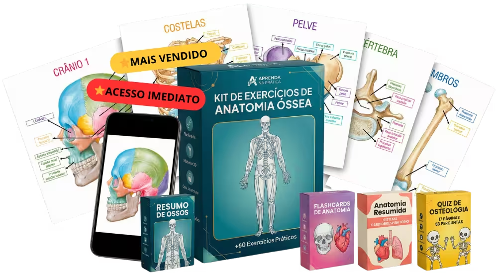 Kit de Exercícios de Anatomia Óssea com 4 bônus